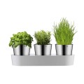 WMF - Zestaw 3 doniczek na zioła, Gourmet 0641306040