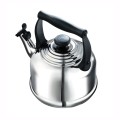 Czajnik Tradycyjny Stal Nierdzewna Le Creuset 2.1l