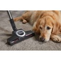 Odkurzacz Miele Blizzard CX1 Cat&Dog PowerLine
