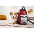 Odkurzacz Miele Blizzard CX1 Cat&Dog PowerLine