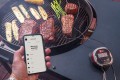 Termometr Weber iGrill 2-2.jpg