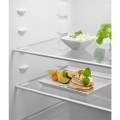 Chłodziarka do zabudowy Electrolux LRB2AE88S