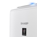 Oczyszczacz Sharp UA-KIN52E-W