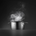 Garnek niski Fissler Phi 20cm ze szklaną pokrywką