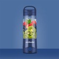 Blender kielichowy Nutribullet NBP003NBL