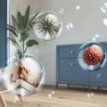 Osuszacz powietrza Philips DE5305/11