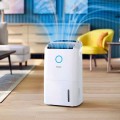 Osuszacz powietrza Philips DE5305/11