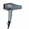 Suszarka do włosów Remington AC9300