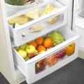Chłodziarko-zamrażarka Smeg FAB30RCR6