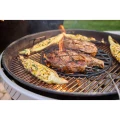 Grill węglowy Weber Performer Premium 57cm 1501966
