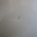 Chłodziarko-zamrażarka Liebherr CBNsda 5723 z Biofresh (Outlet)