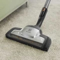 Odkurzacz Electrolux PD91-ANIMA (Outlet)